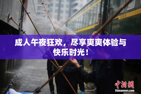 成人午夜狂欢，尽享爽爽体验与快乐时光！