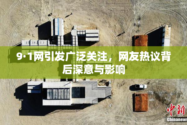 9·1网引发广泛关注，网友热议背后深意与影响