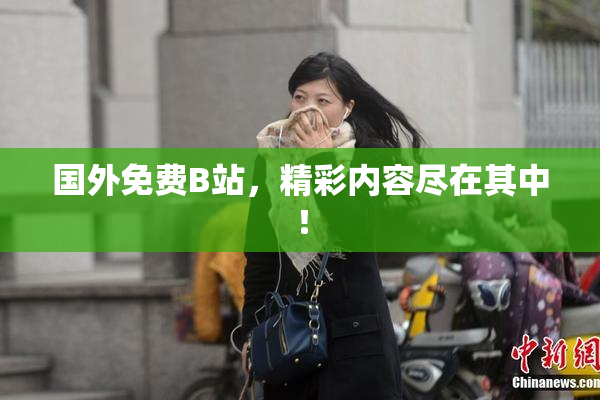 国外免费B站，精彩内容尽在其中！