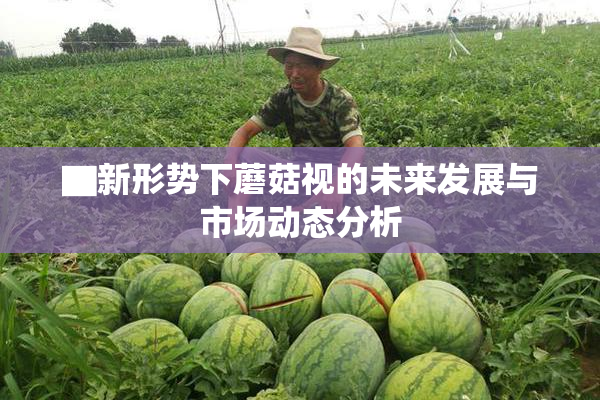 ▇新形势下蘑菇视的未来发展与市场动态分析