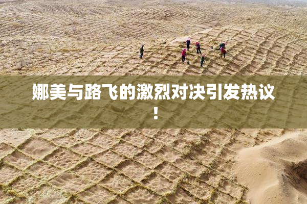 娜美与路飞的激烈对决引发热议！