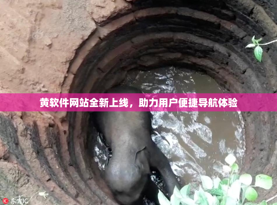 黄软件网站全新上线，助力用户便捷导航体验