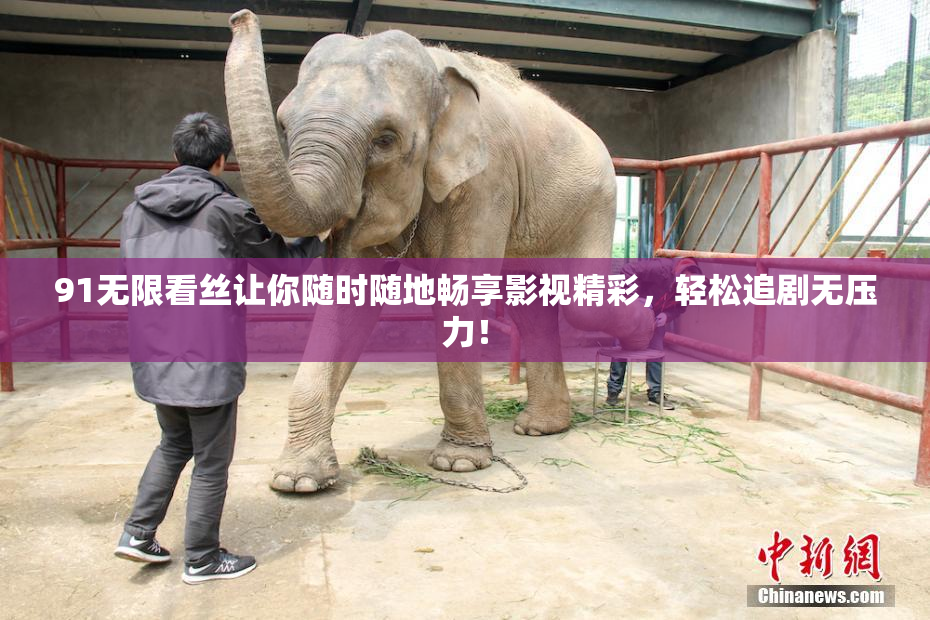 91无限看丝让你随时随地畅享影视精彩，轻松追剧无压力！