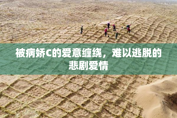 被病娇C的爱意缠绕，难以逃脱的悲剧爱情