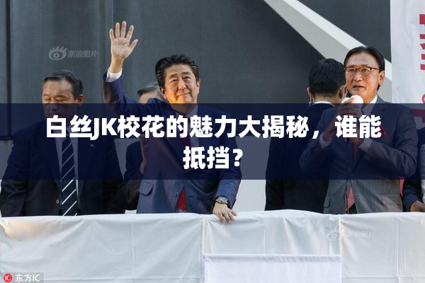 白丝JK校花的魅力大揭秘，谁能抵挡？