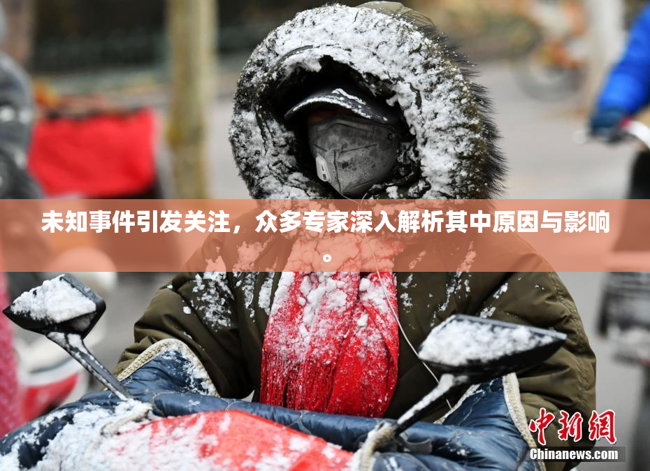 未知事件引发关注，众多专家深入解析其中原因与影响。