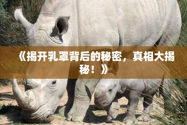 《揭开乳罩背后的秘密，真相大揭秘！》