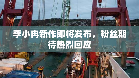 李小冉新作即将发布，粉丝期待热烈回应