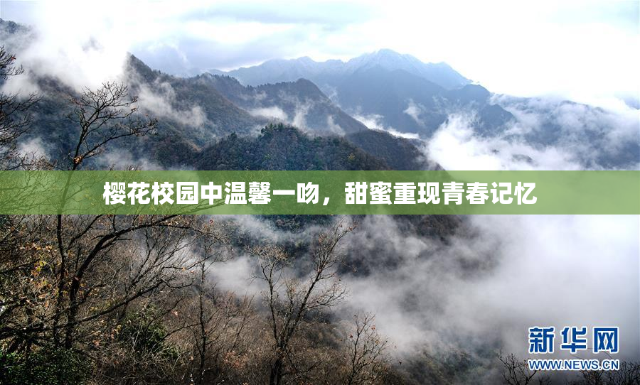 樱花校园中温馨一吻，甜蜜重现青春记忆
