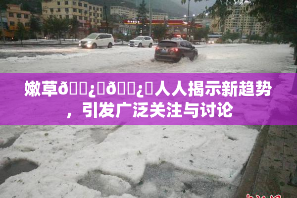 嫩草🌿‌🌿‌人人揭示新趋势，引发广泛关注与讨论
