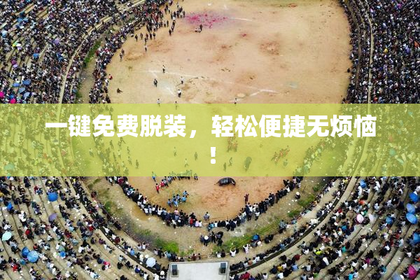 一键免费脱装，轻松便捷无烦恼！