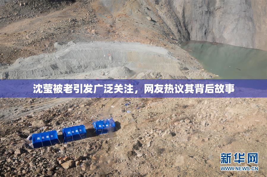 沈莹被老引发广泛关注，网友热议其背后故事