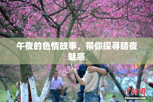 午夜的色情故事，带你探寻暗夜魅惑