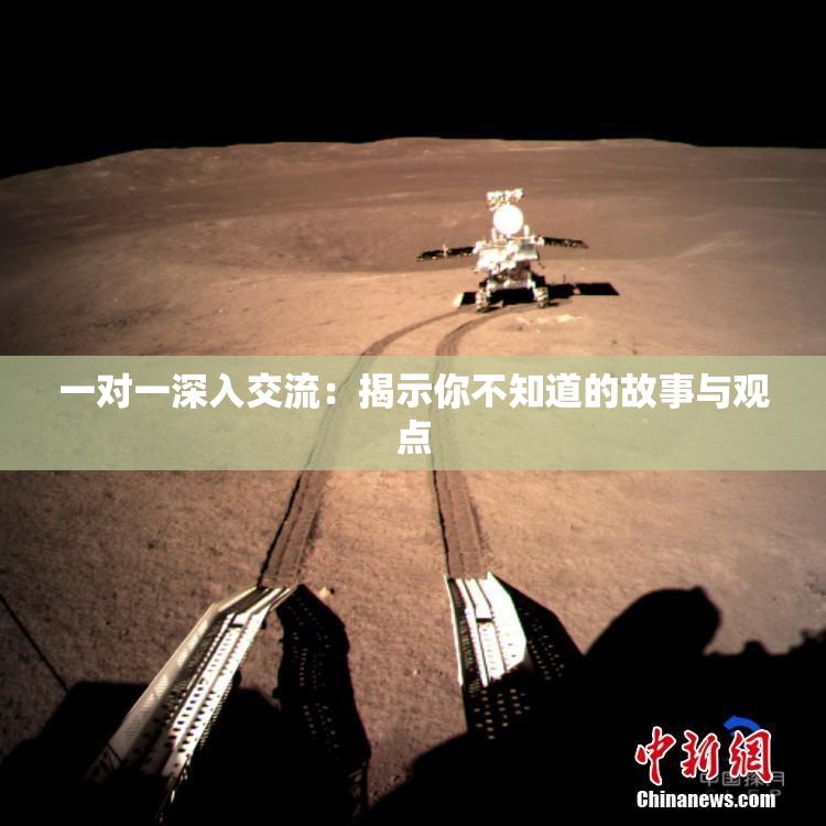 一对一深入交流：揭示你不知道的故事与观点