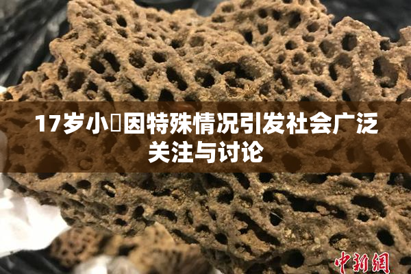 17岁小泬因特殊情况引发社会广泛关注与讨论