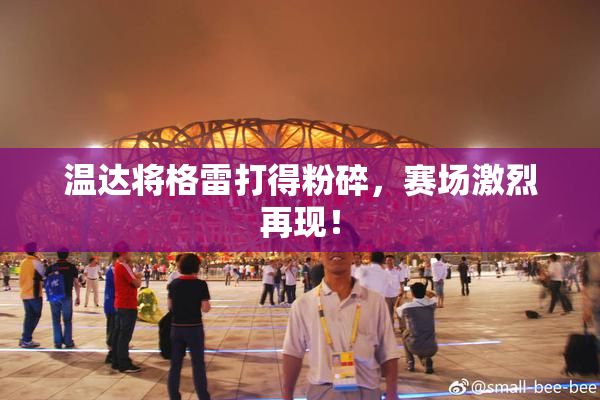 温达将格雷打得粉碎，赛场激烈再现！