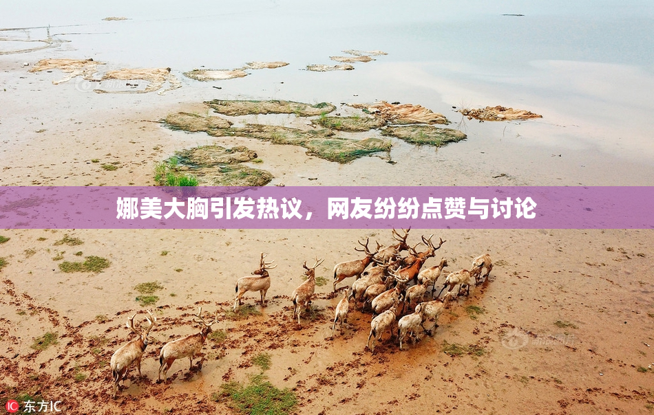 娜美大胸引发热议，网友纷纷点赞与讨论