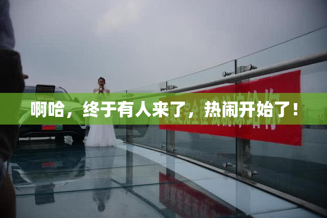 啊哈，终于有人来了，热闹开始了！