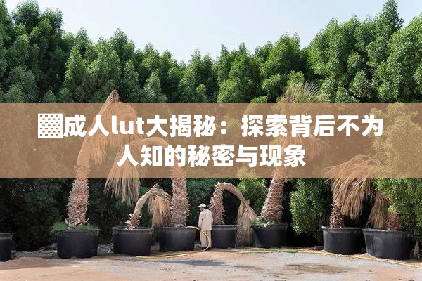 ▓成人lut大揭秘：探索背后不为人知的秘密与现象