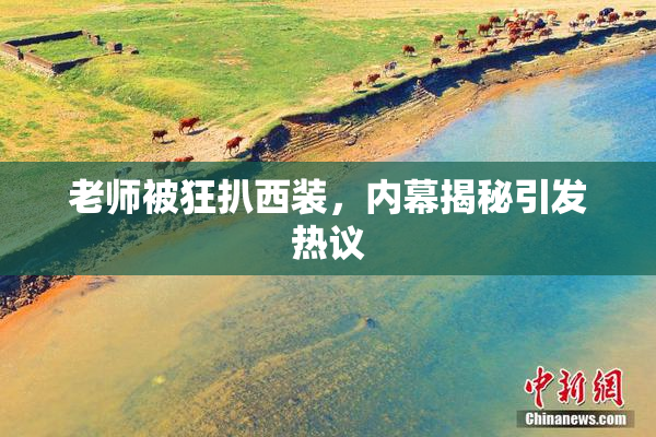 老师被狂扒西装，内幕揭秘引发热议