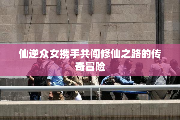 仙逆众女携手共闯修仙之路的传奇冒险