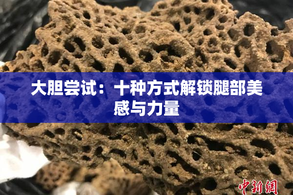 大胆尝试：十种方式解锁腿部美感与力量