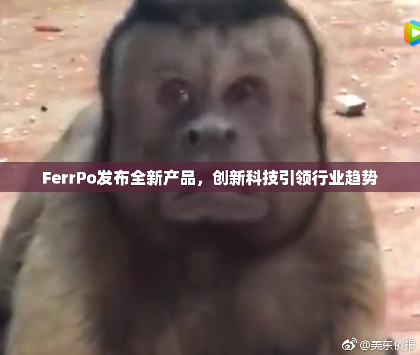 FerrPo发布全新产品，创新科技引领行业趋势