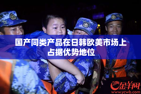国产同类产品在日韩欧美市场上占据优势地位