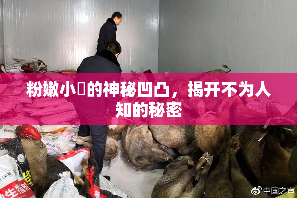 粉嫩小泬的神秘凹凸，揭开不为人知的秘密