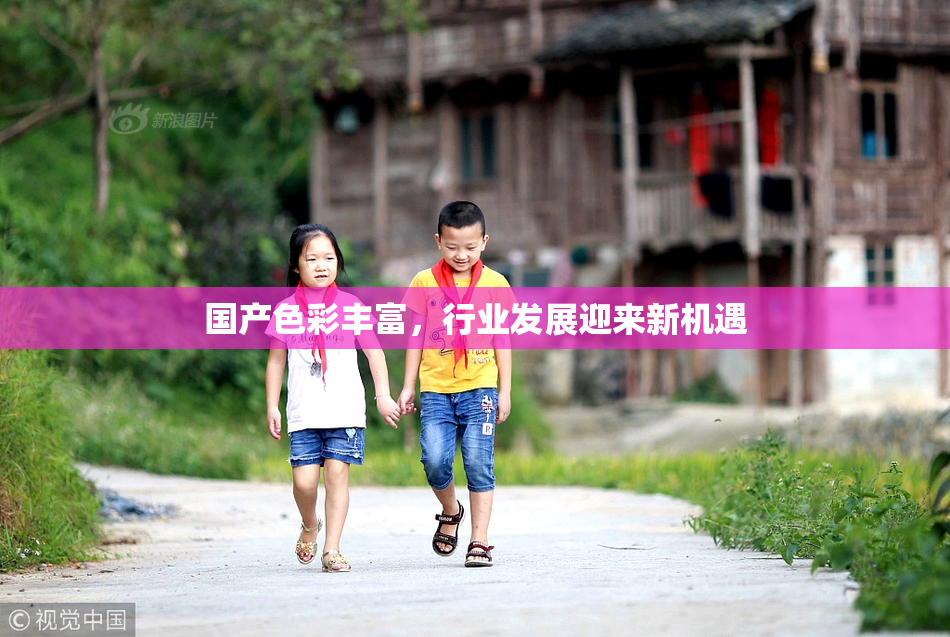 国产色彩丰富，行业发展迎来新机遇