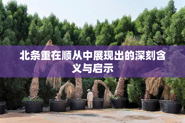 北条重在顺从中展现出的深刻含义与启示