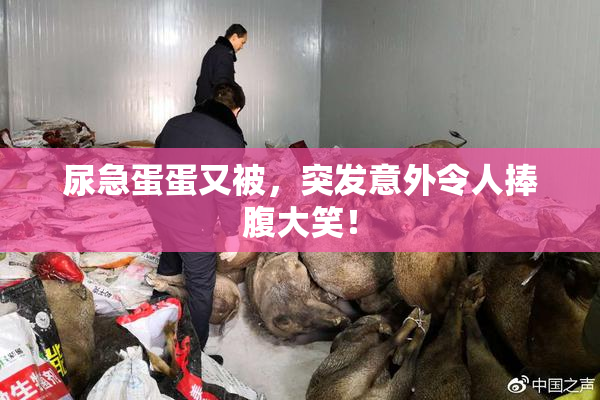 尿急蛋蛋又被，突发意外令人捧腹大笑！