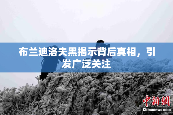 布兰迪洛夫黑揭示背后真相，引发广泛关注
