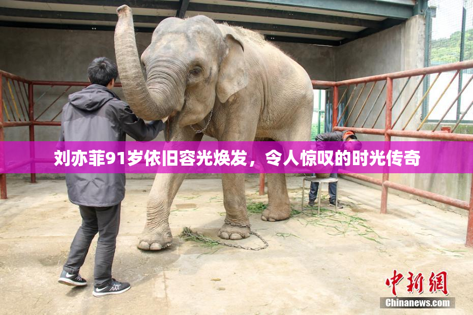 刘亦菲91岁依旧容光焕发，令人惊叹的时光传奇