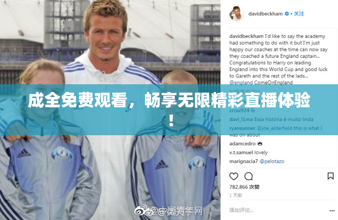 成全免费观看，畅享无限精彩直播体验！