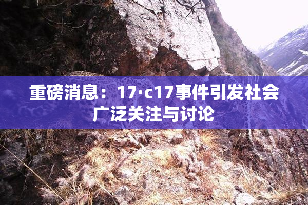 重磅消息：17·c17事件引发社会广泛关注与讨论