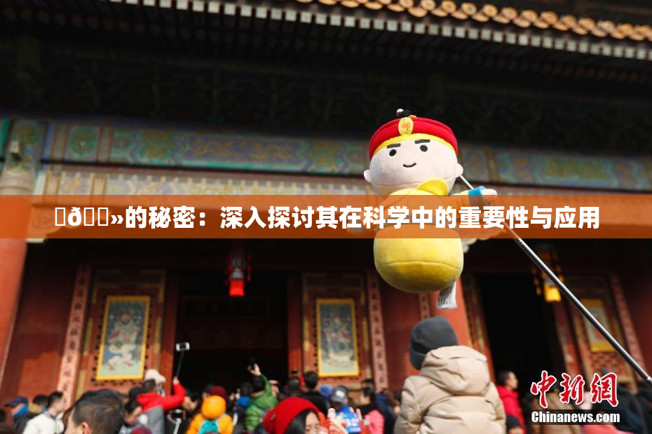 ‌🐻的秘密：深入探讨其在科学中的重要性与应用