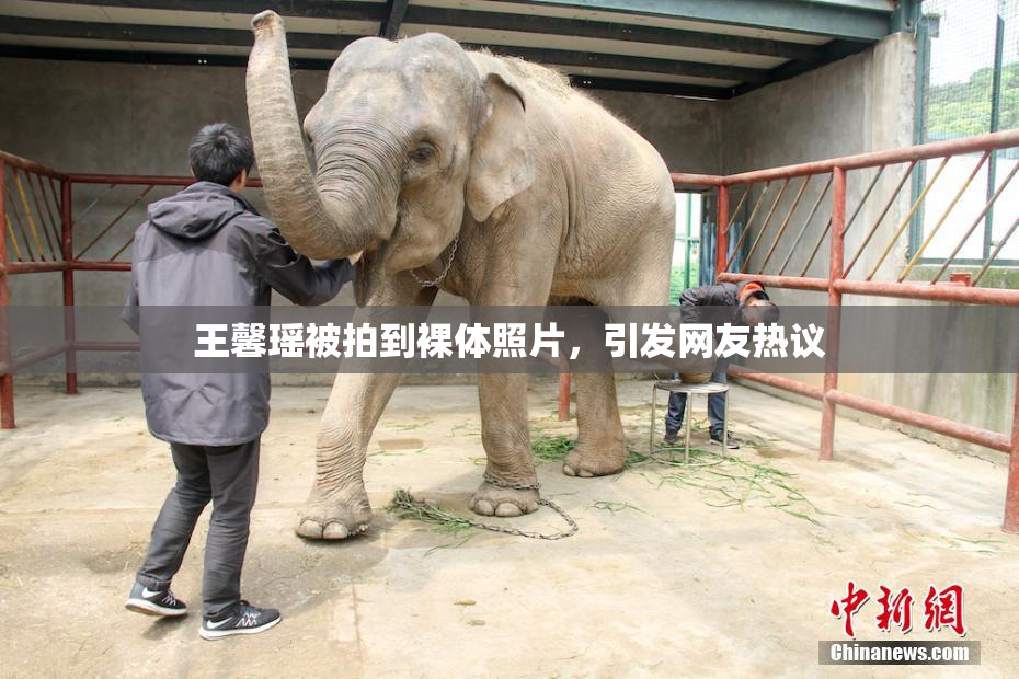 王馨瑶被拍到裸体照片，引发网友热议