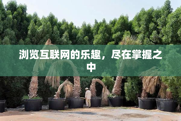 浏览互联网的乐趣，尽在掌握之中