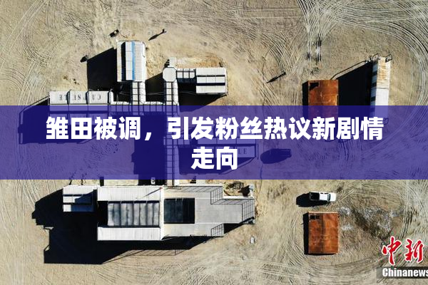 雏田被调，引发粉丝热议新剧情走向