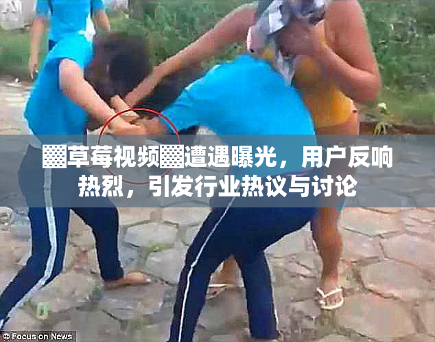 ▓草莓视频▓遭遇曝光，用户反响热烈，引发行业热议与讨论