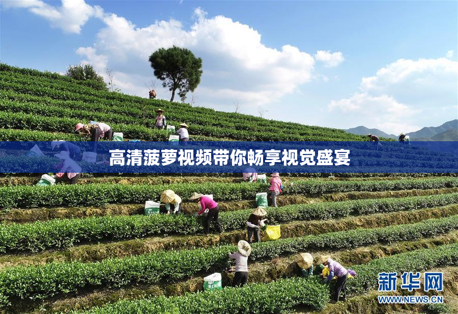 高清菠萝视频带你畅享视觉盛宴