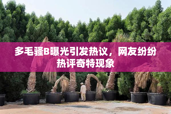 多毛骚B曝光引发热议，网友纷纷热评奇特现象