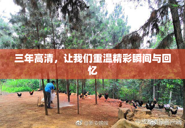 三年高清，让我们重温精彩瞬间与回忆