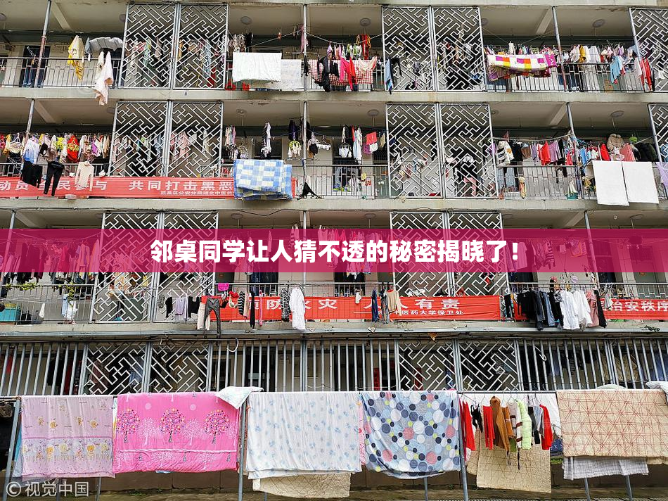 邻桌同学让人猜不透的秘密揭晓了！