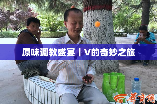 原味调教盛宴丨V的奇妙之旅