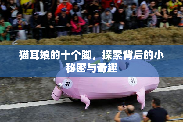 猫耳娘的十个脚，探索背后的小秘密与奇趣