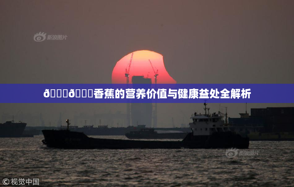 🔞🔞香蕉的营养价值与健康益处全解析