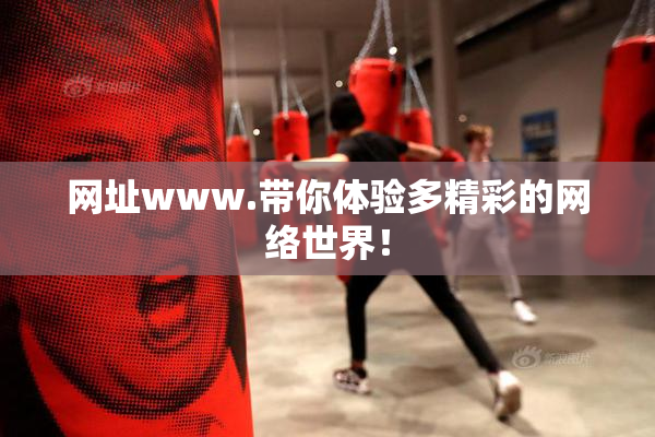 网址www.带你体验多精彩的网络世界！
