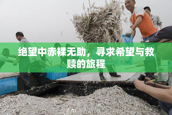 绝望中赤裸无助，寻求希望与救赎的旅程